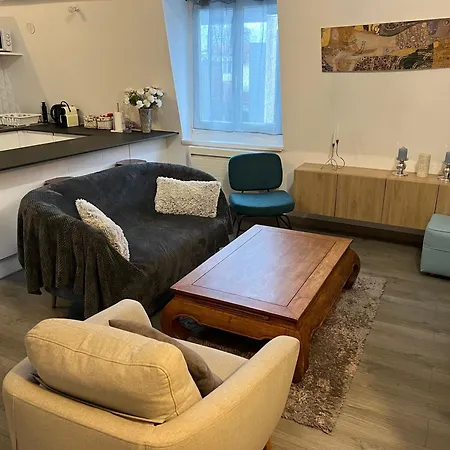 La Petite Place St Maurice Lägenhet *